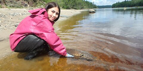 Reducing stresses on freshwater fish